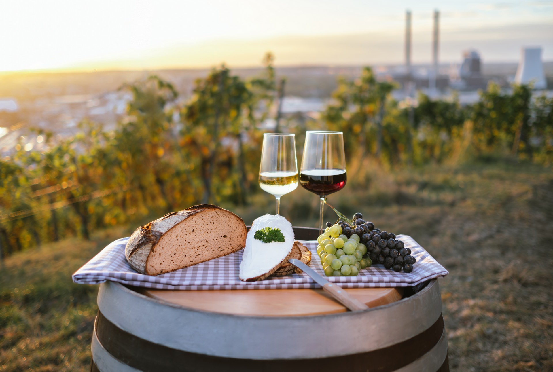 In der Region verwurzelt